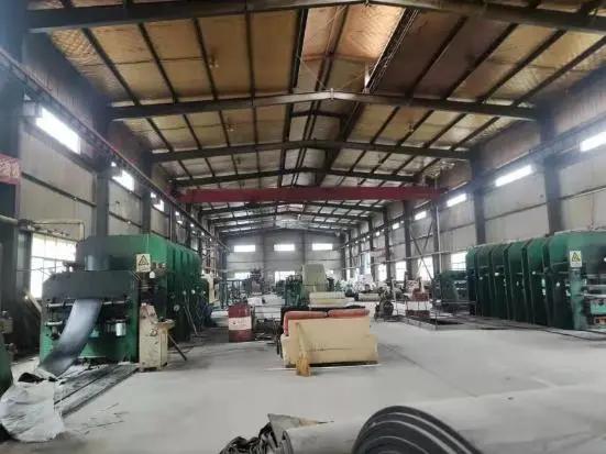 失信橡膠公司,資產拍賣