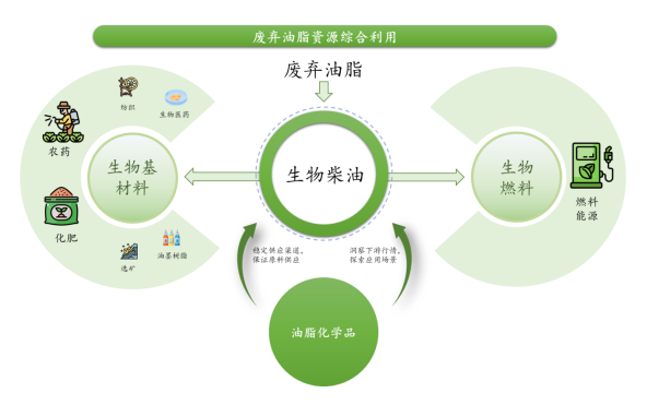 深耕廢棄油脂資源化 豐倍生物IPO獲問詢彰顯可持續(xù)發(fā)展新機遇